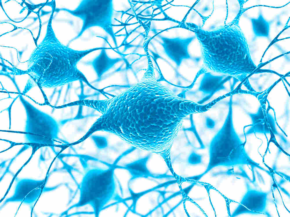 nerves_MND_shutterstock_197275991